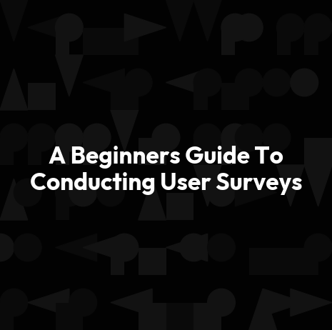 A Beginners Guide To Conducting User Surveys